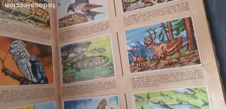 Coleccionismo &aacute;lbum: HISTORIA NATURAL 508 CROMOS - Foto 11