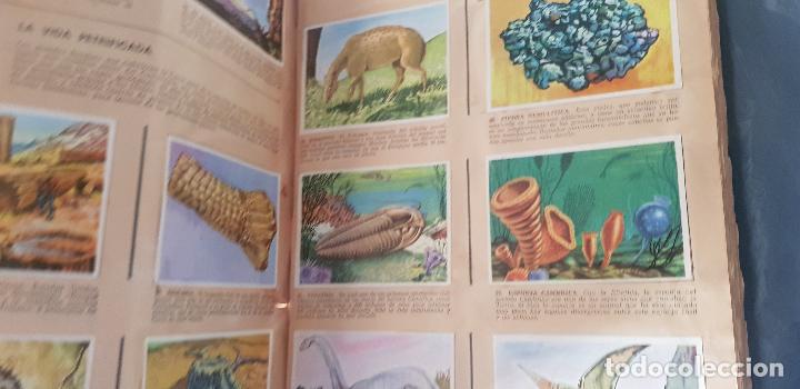 Coleccionismo &aacute;lbum: HISTORIA NATURAL 508 CROMOS - Foto 14