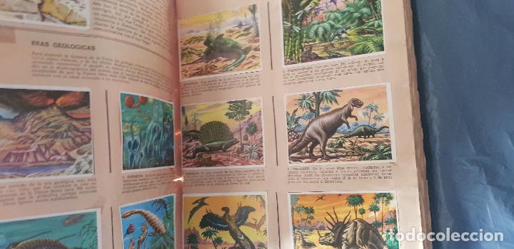 Coleccionismo &aacute;lbum: HISTORIA NATURAL 508 CROMOS - Foto 15