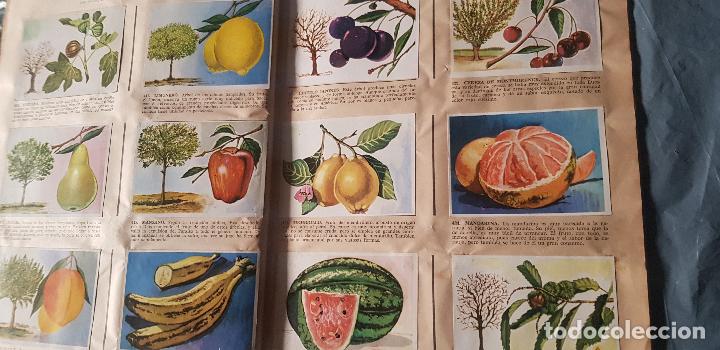 Coleccionismo &aacute;lbum: HISTORIA NATURAL 508 CROMOS - Foto 1