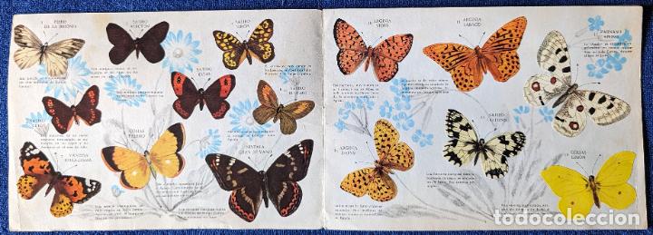 Coleccionismo &aacute;lbum: Mariposas - Panrico (1971) &iexcl;Completo! - Foto 2