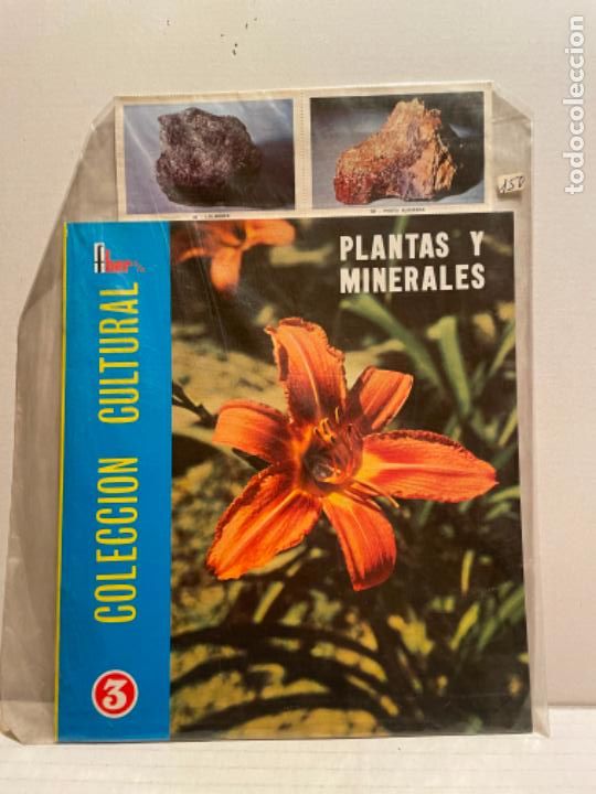 Coleccionismo &Aacute;lbum: &Aacute;LBUM FHER COMPLETO cromos sin pegar