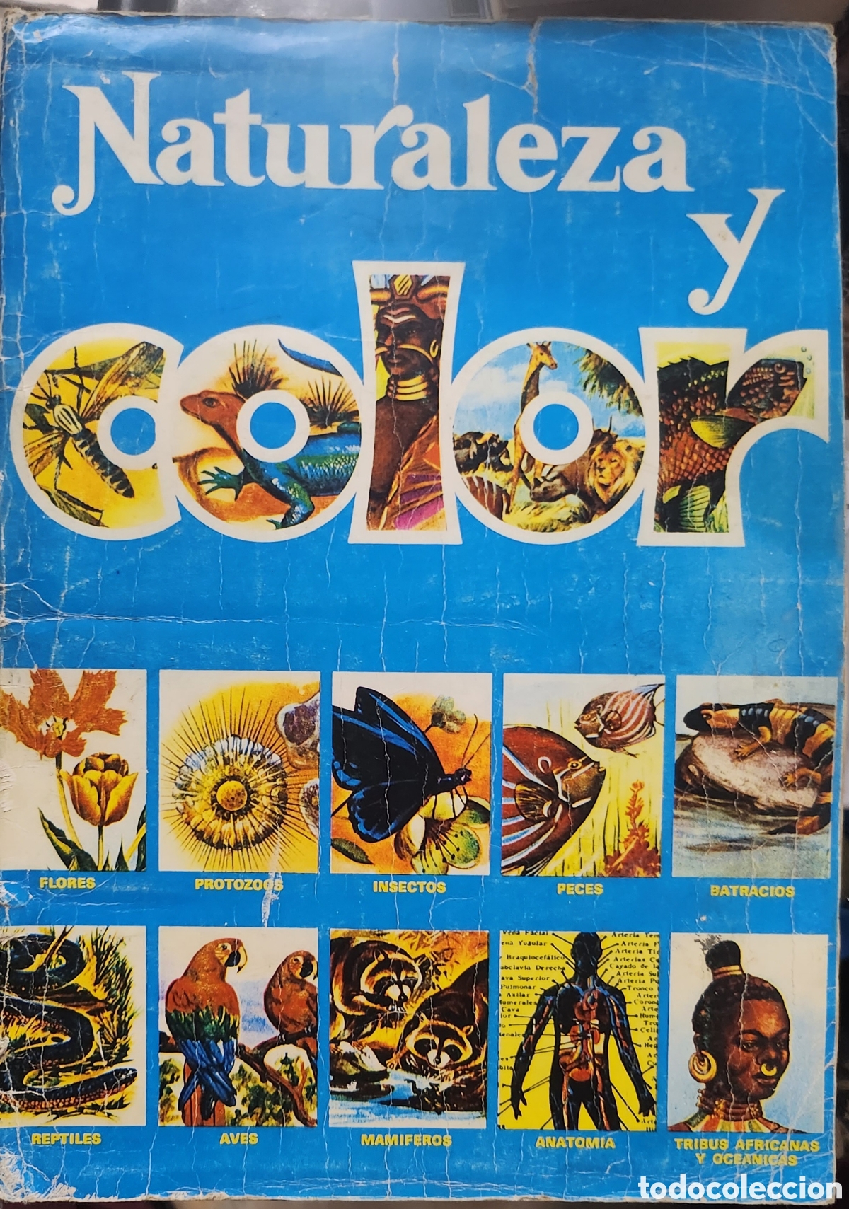 Collectable Albums: Album: naturaleza y color