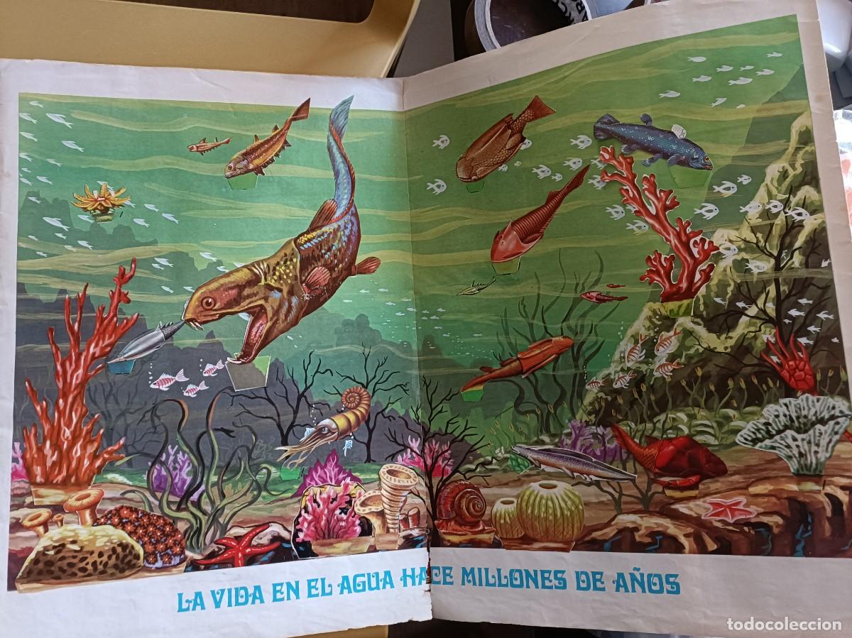 Coleccionismo &aacute;lbum: hace millones de a&ntilde;os - Foto 5