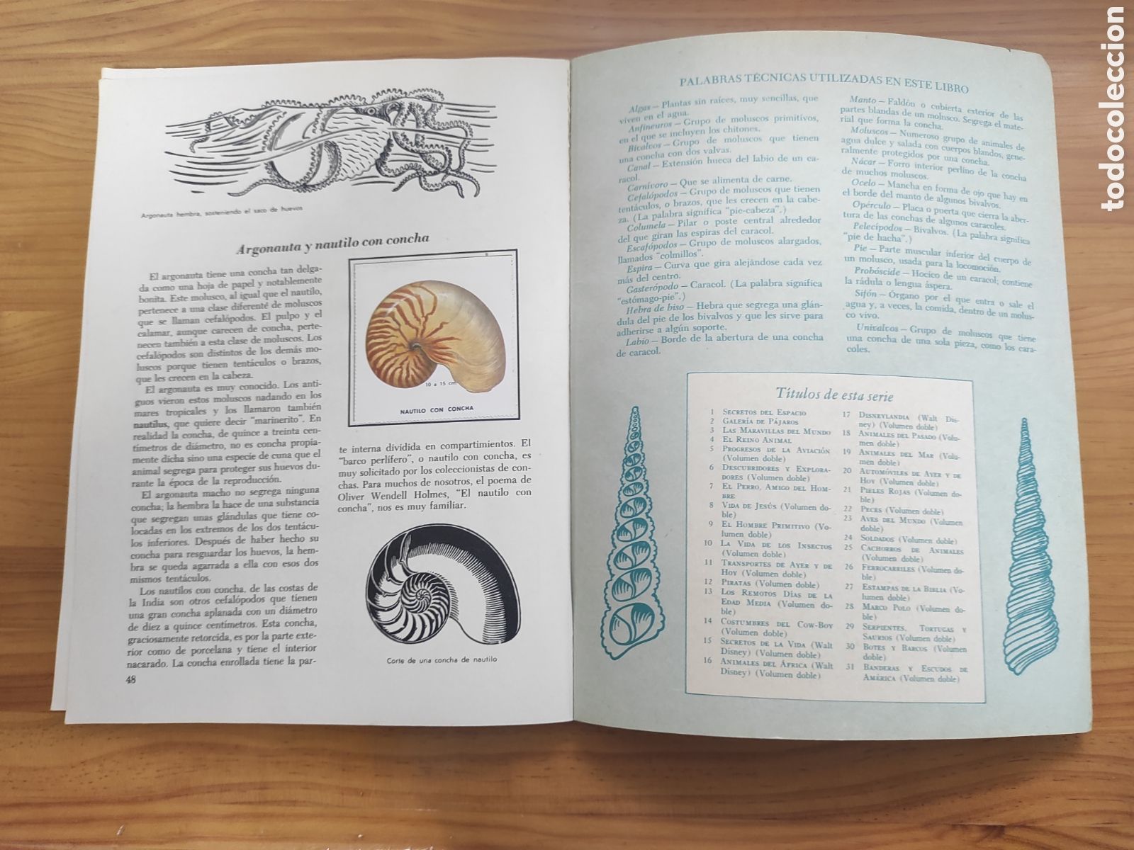 Coleccionismo &aacute;lbum: UN LIBRO DE ORO DE ESTAMPAS CONCHAS MARINAS - Foto 4