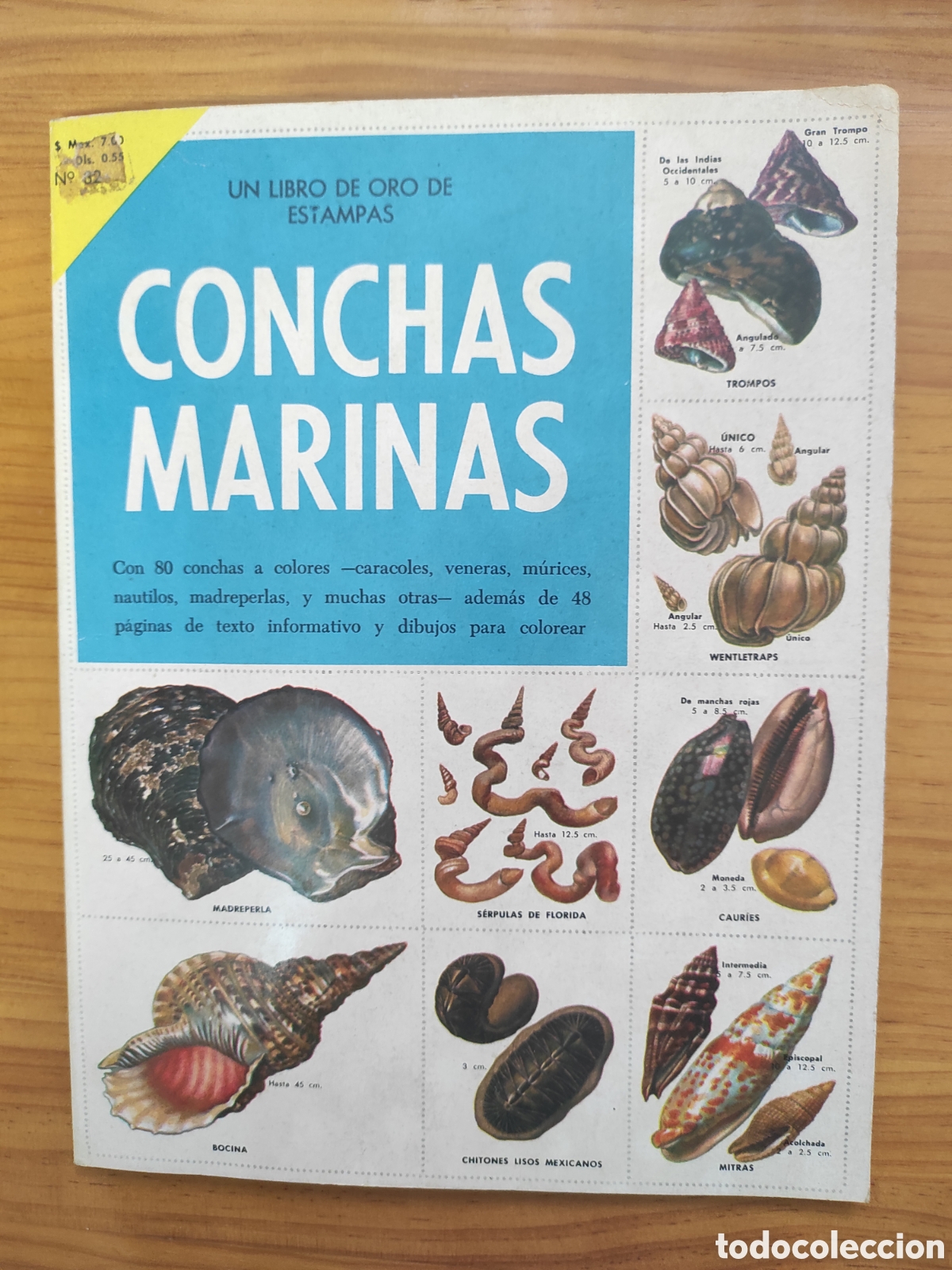 Coleccionismo &aacute;lbum: UN LIBRO DE ORO DE ESTAMPAS CONCHAS MARINAS - Foto 1