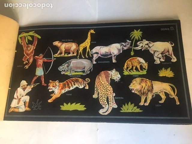 Coleccionismo &aacute;lbum: HISTORIA NATURAL - Foto 2