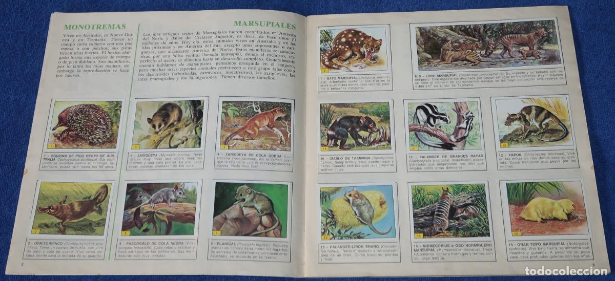 Coleccionismo &aacute;lbum: Mam&iacute;feros - Panini (1984) &iexcl;Completo! - Foto 3