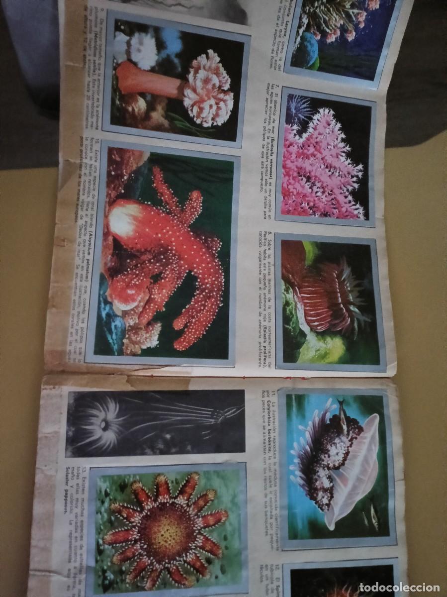 Coleccionismo &aacute;lbum: animales y minerales - Foto 3