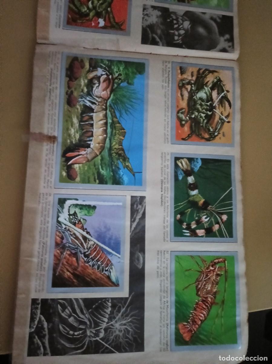 Coleccionismo &aacute;lbum: animales y minerales - Foto 4