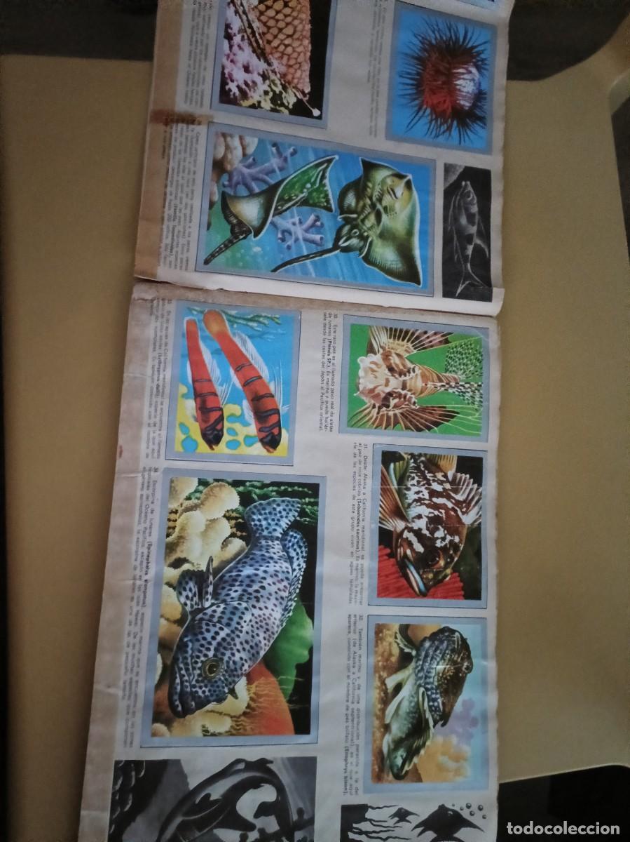 Coleccionismo &aacute;lbum: animales y minerales - Foto 5