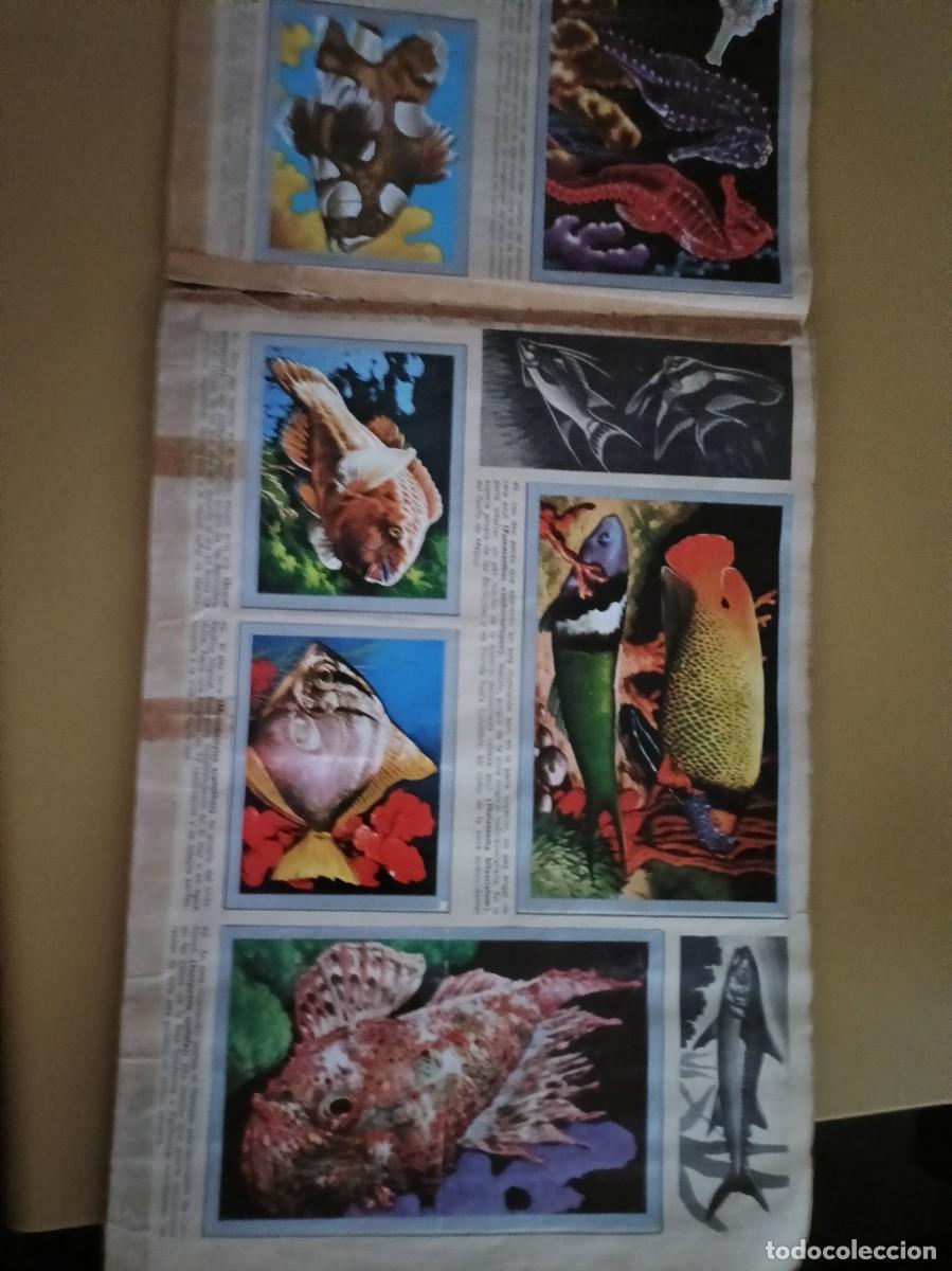 Coleccionismo &aacute;lbum: animales y minerales - Foto 6