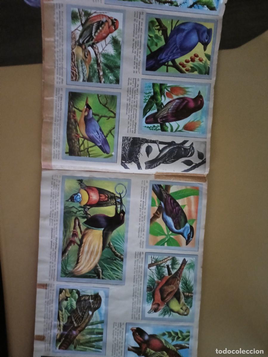 Coleccionismo &aacute;lbum: animales y minerales - Foto 9
