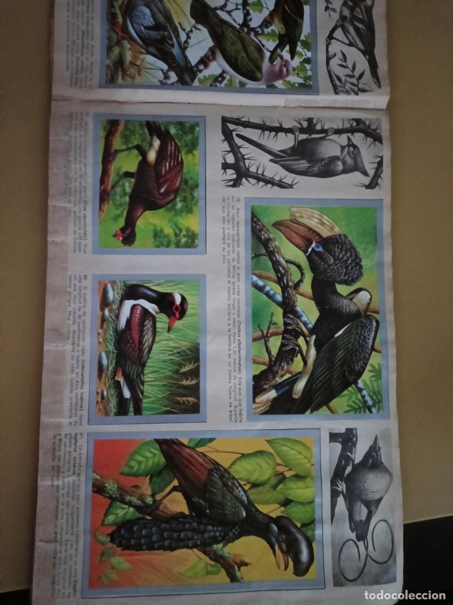 Coleccionismo &aacute;lbum: animales y minerales - Foto 10