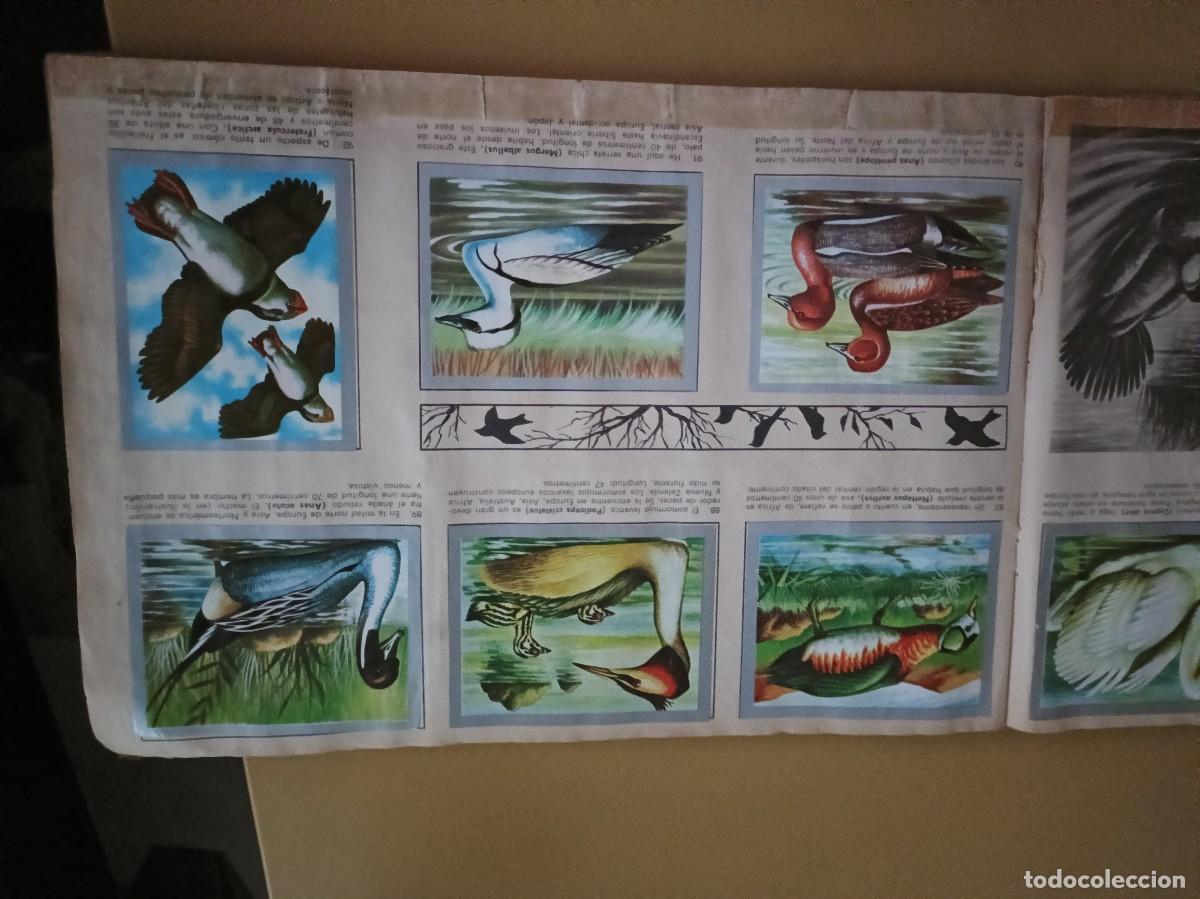 Coleccionismo &aacute;lbum: animales y minerales - Foto 11