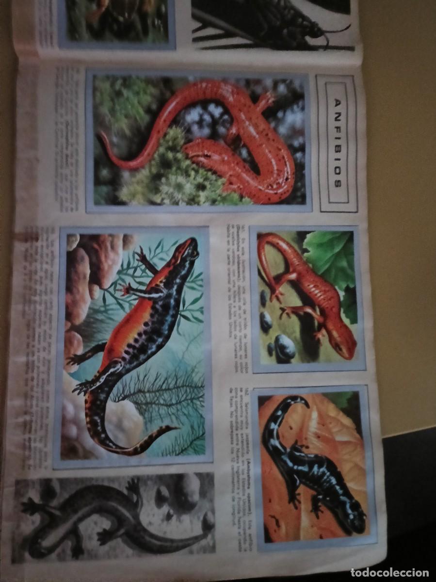 Coleccionismo &aacute;lbum: animales y minerales - Foto 12