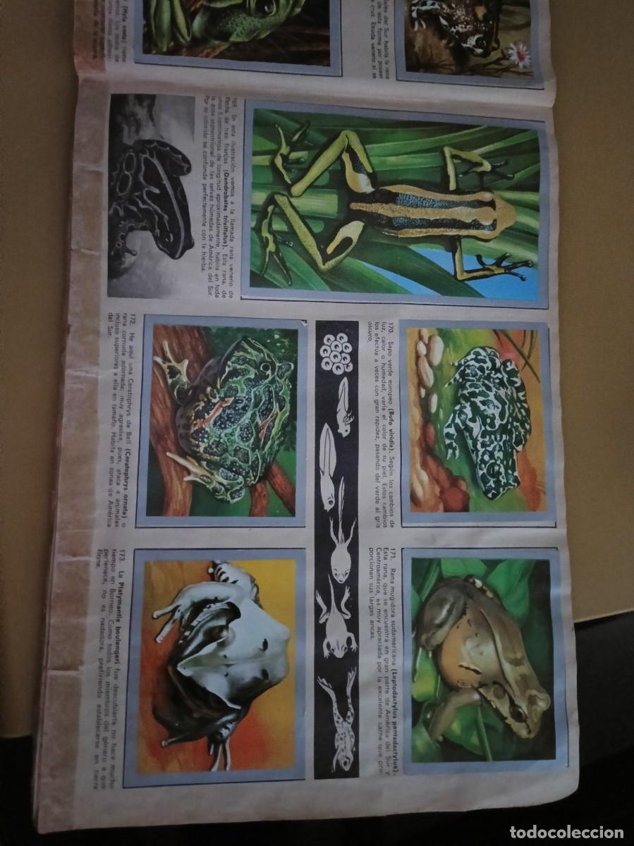 Coleccionismo &aacute;lbum: animales y minerales - Foto 13