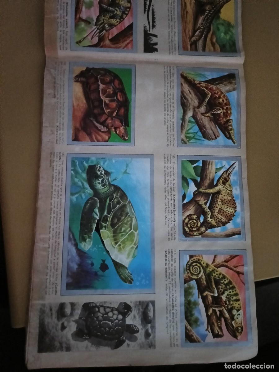 Coleccionismo &aacute;lbum: animales y minerales - Foto 14