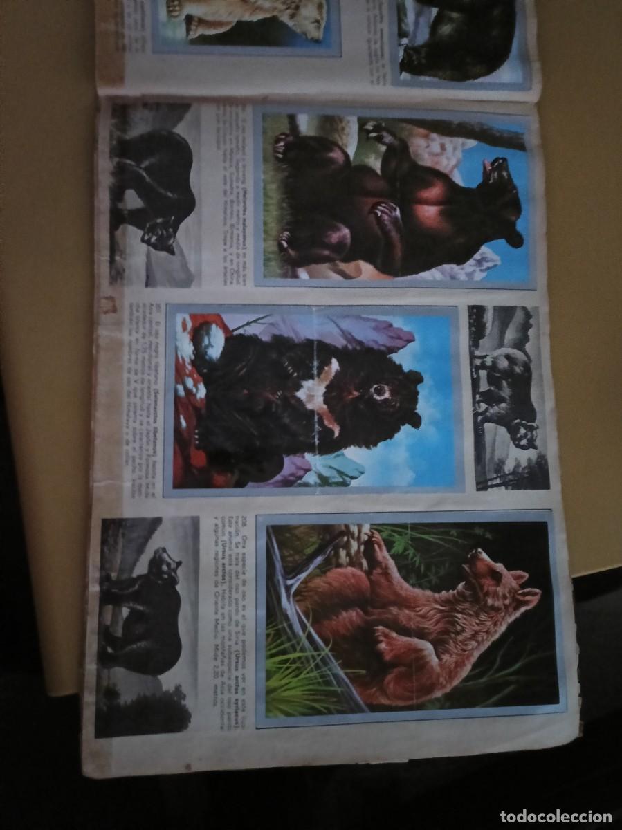 Coleccionismo &aacute;lbum: animales y minerales - Foto 15