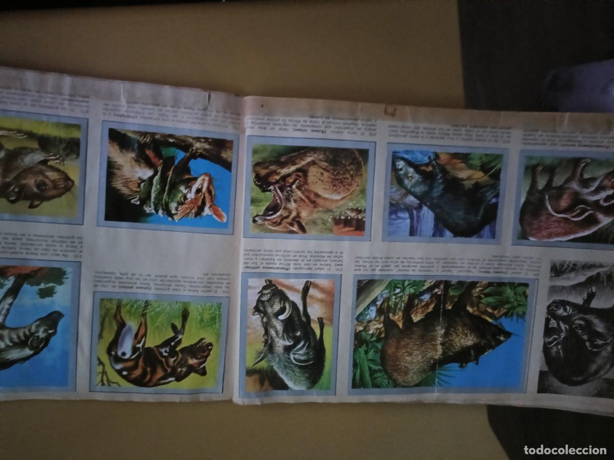 Coleccionismo &aacute;lbum: animales y minerales - Foto 16