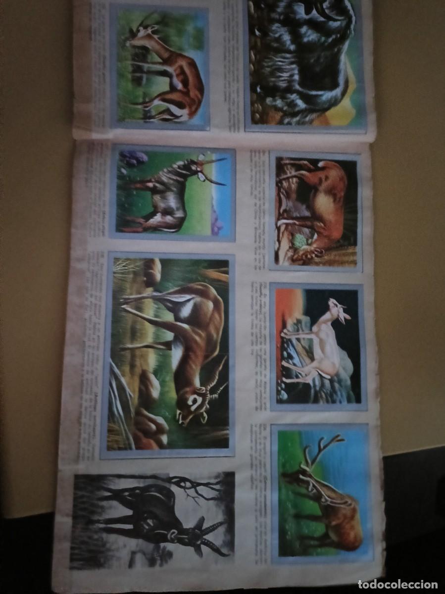 Coleccionismo &aacute;lbum: animales y minerales - Foto 17