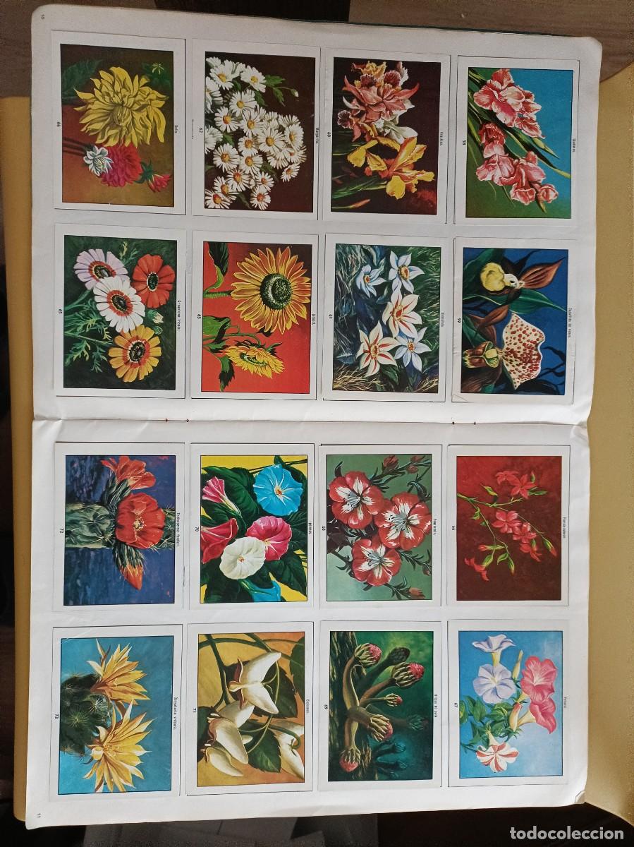Coleccionismo &aacute;lbum: ciencias naturales 1 - Foto 7