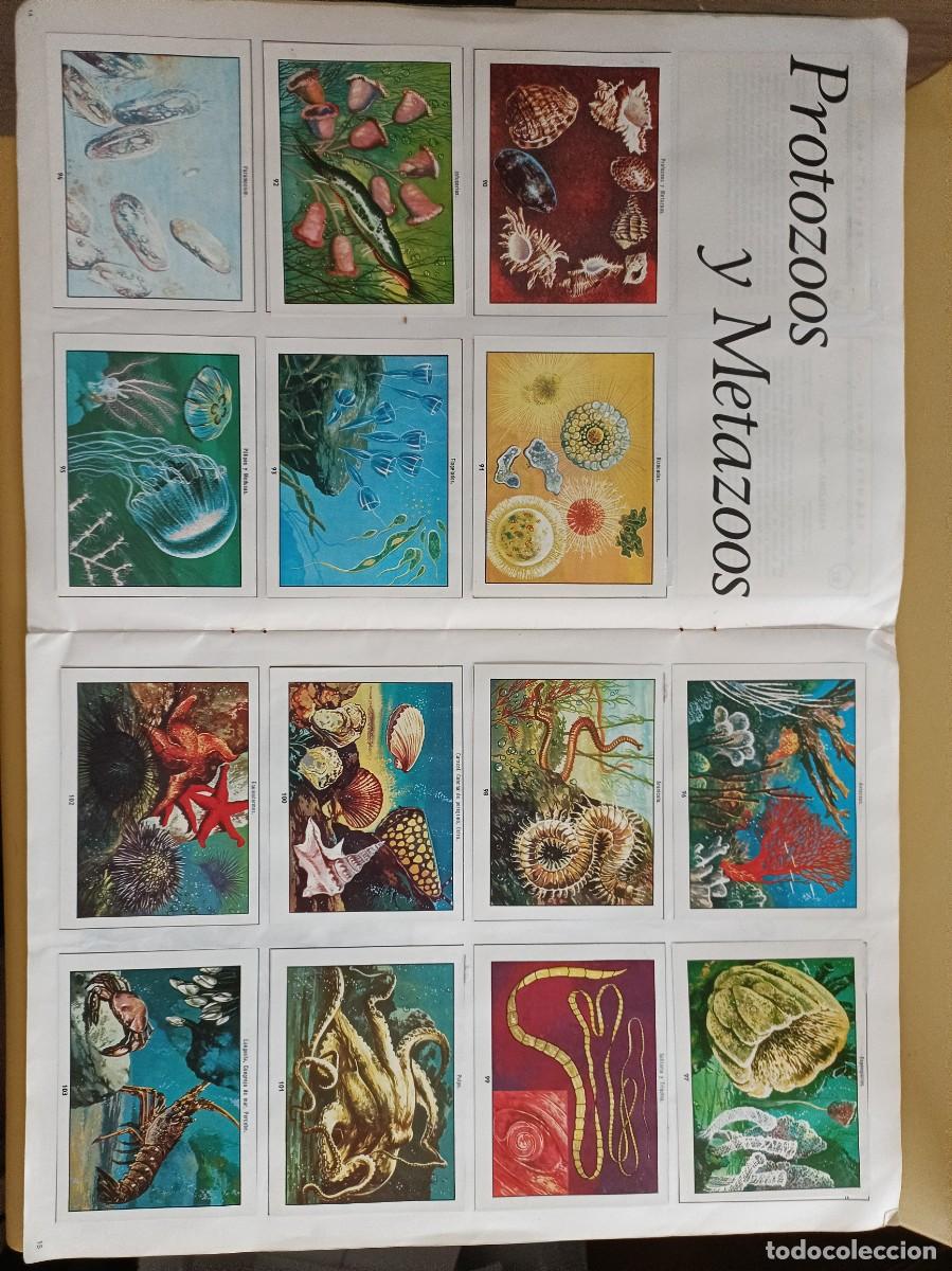 Coleccionismo &aacute;lbum: ciencias naturales 1 - Foto 8