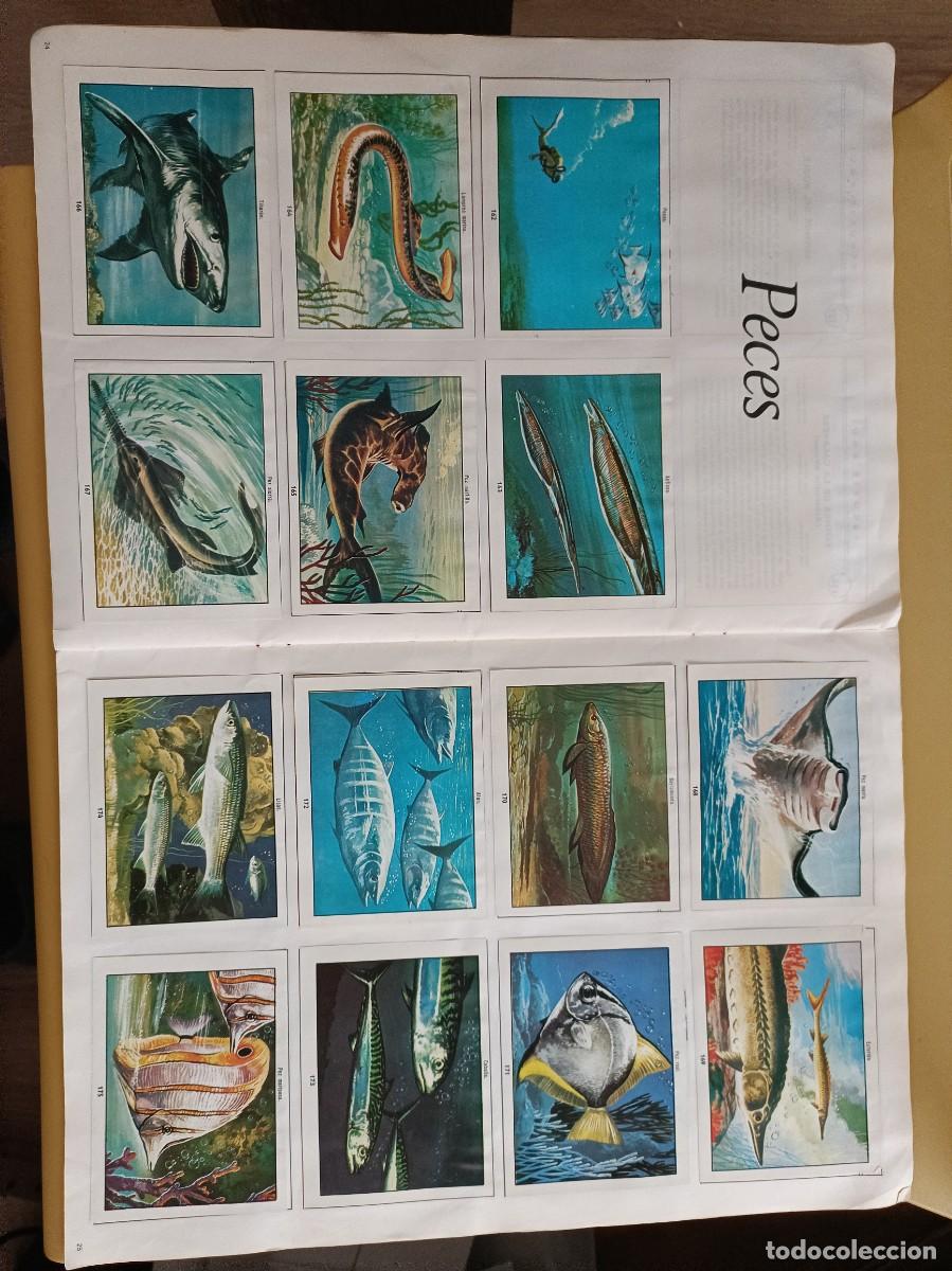 Coleccionismo &aacute;lbum: ciencias naturales 1 - Foto 11