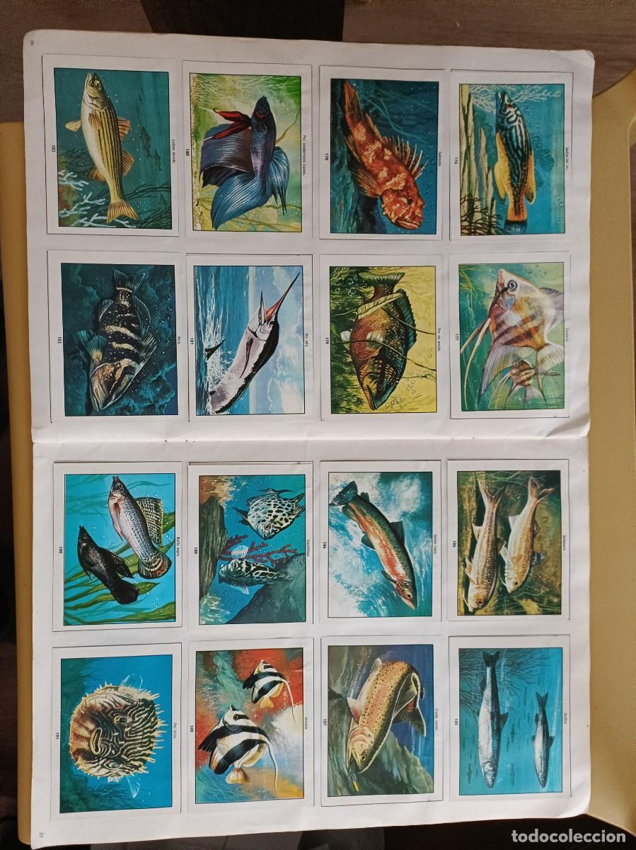 Coleccionismo &aacute;lbum: ciencias naturales 1 - Foto 12