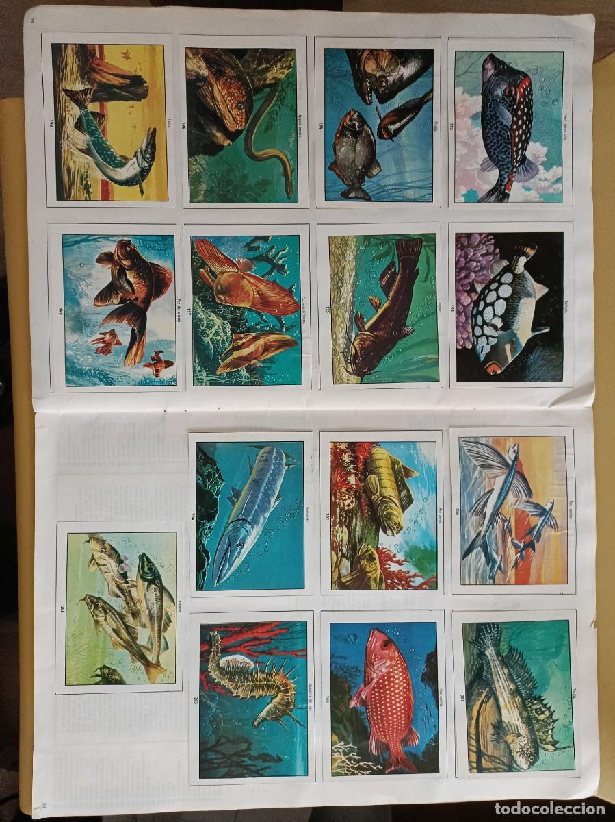 Coleccionismo &aacute;lbum: ciencias naturales 1 - Foto 13