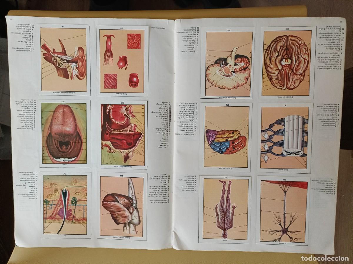 Coleccionismo &aacute;lbum: ciencias naturales 1 - Foto 15