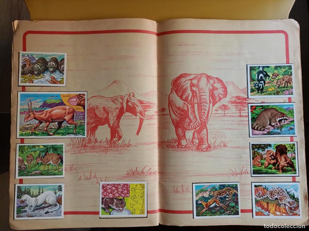 Coleccionismo &aacute;lbum: panorama zoologico.. - Foto 3