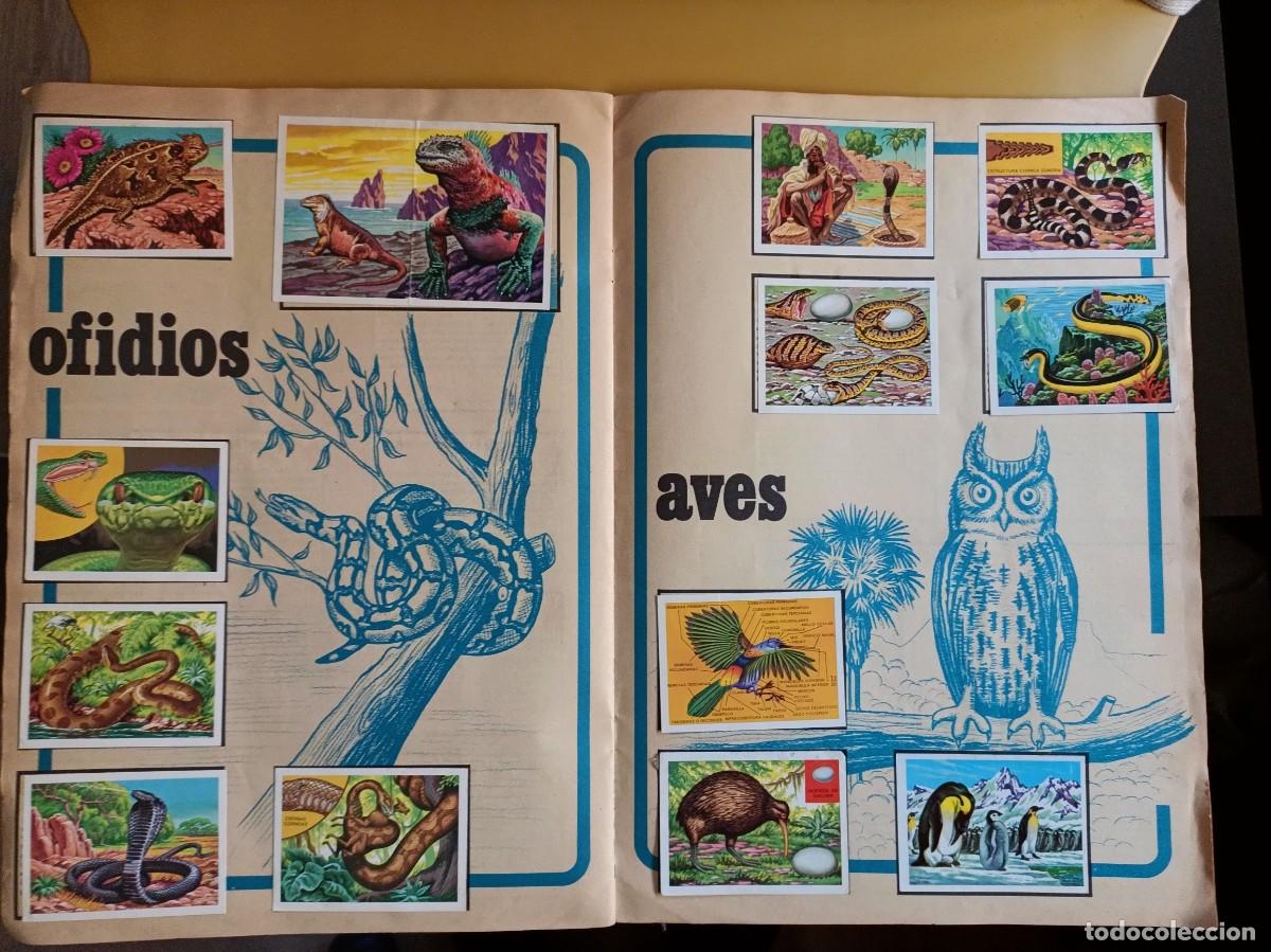 Coleccionismo &aacute;lbum: panorama zoologico.. - Foto 4