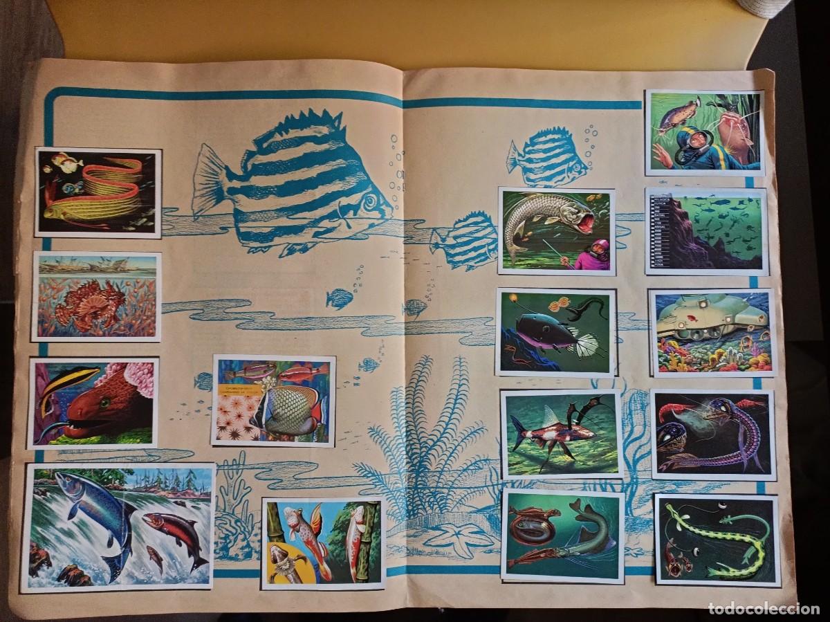 Coleccionismo &aacute;lbum: panorama zoologico.. - Foto 8