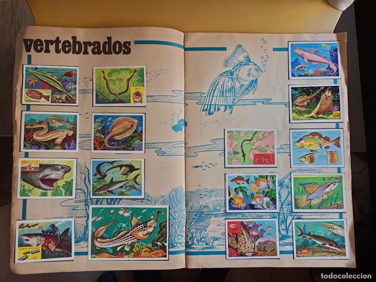 Coleccionismo &aacute;lbum: panorama zoologico.. - Foto 9