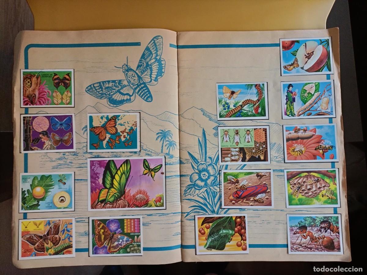 Coleccionismo &aacute;lbum: panorama zoologico.. - Foto 10