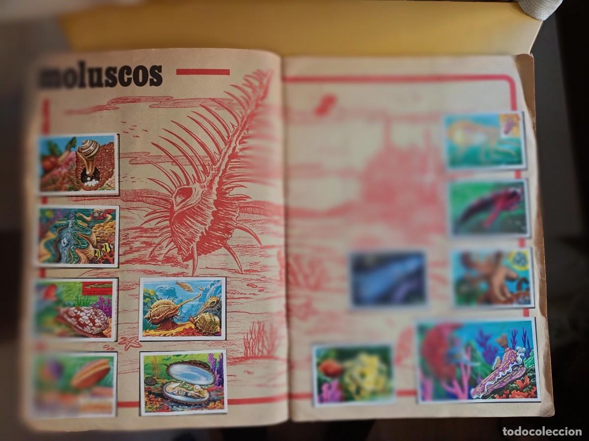 Coleccionismo &aacute;lbum: panorama zoologico.. - Foto 11