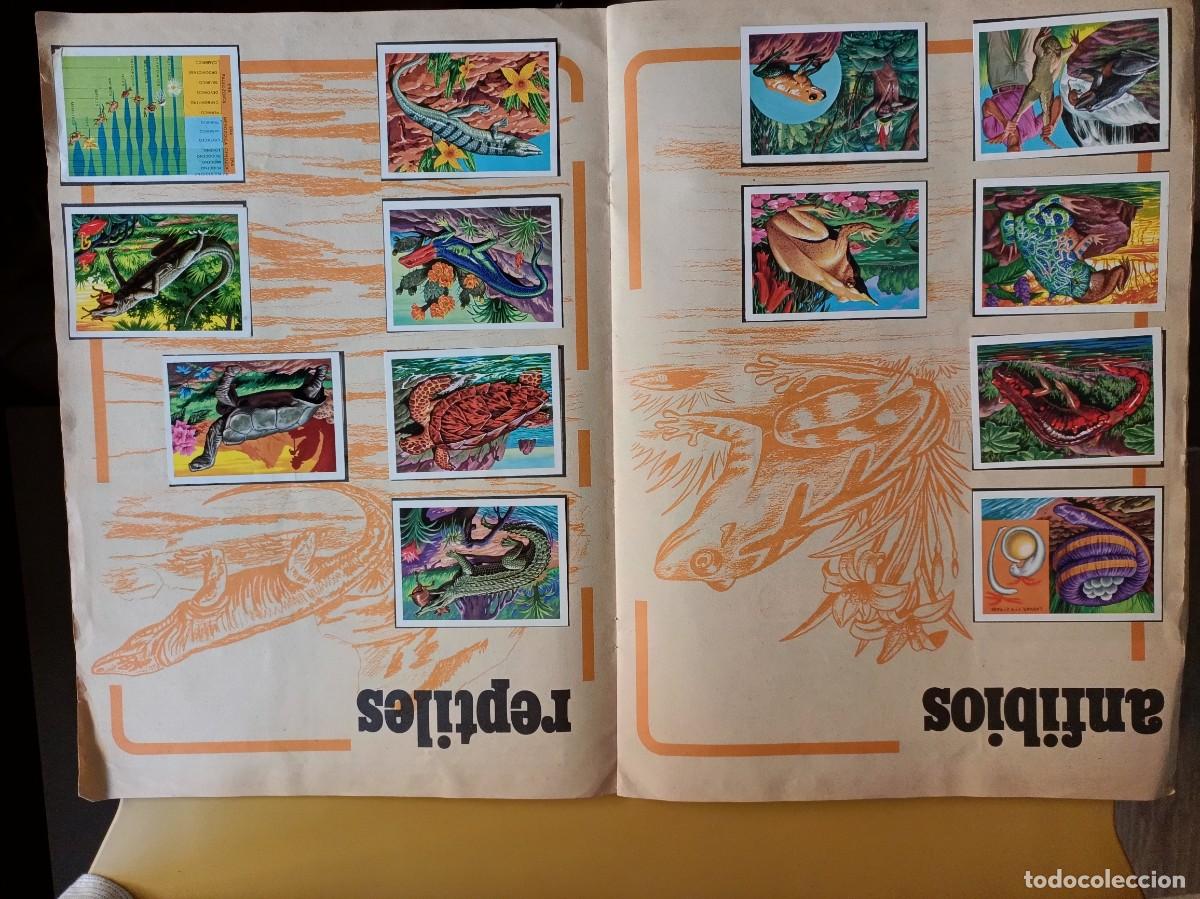 Coleccionismo &aacute;lbum: panorama zoologico.. - Foto 15