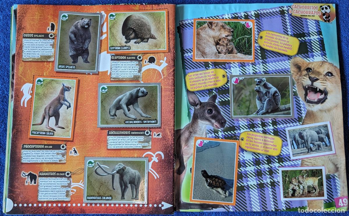 Coleccionismo &aacute;lbum: Animales - Panini (2012) &iexcl;Completo e impecable! - Foto 9