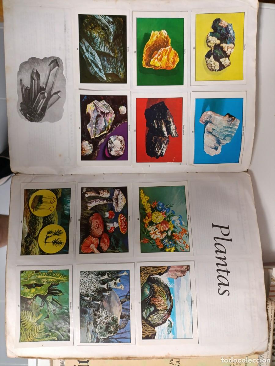 Coleccionismo &aacute;lbum: Ciencias naturales 1 - Foto 4