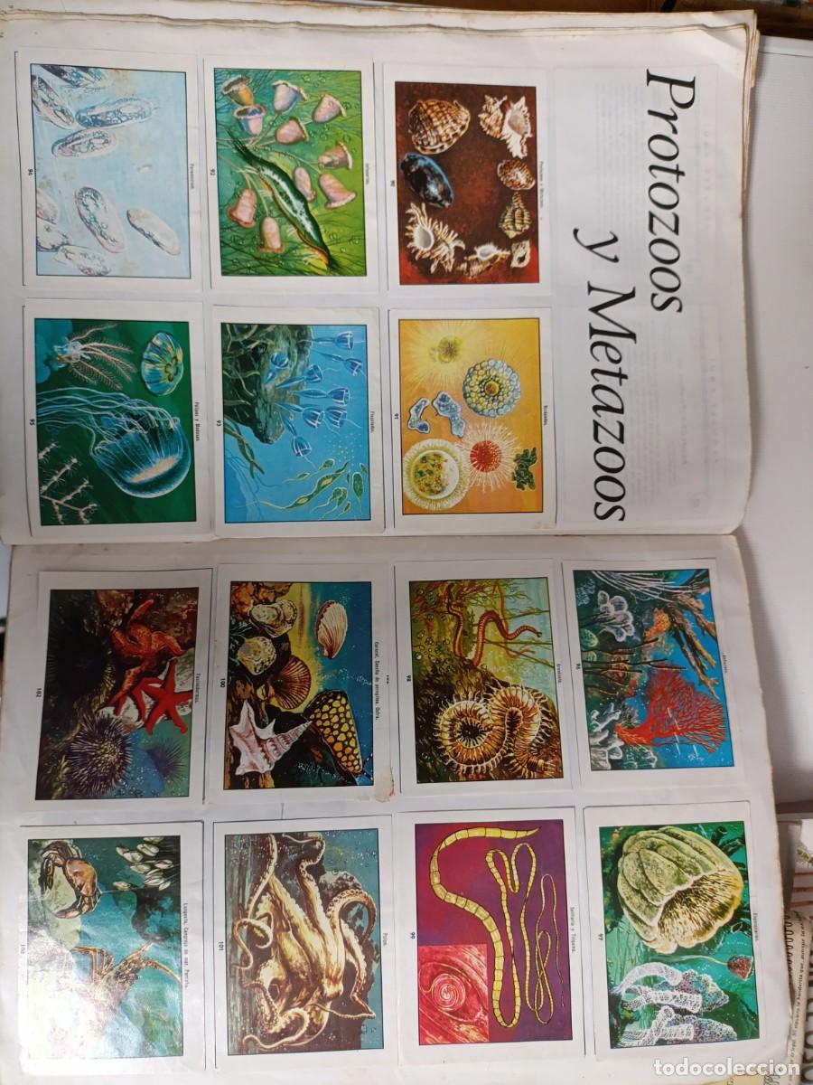 Coleccionismo &aacute;lbum: Ciencias naturales 1 - Foto 5