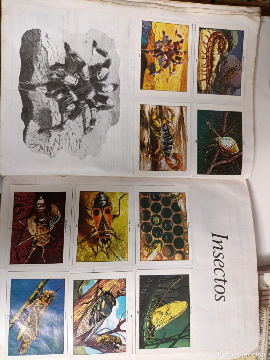 Coleccionismo &aacute;lbum: Ciencias naturales 1 - Foto 6
