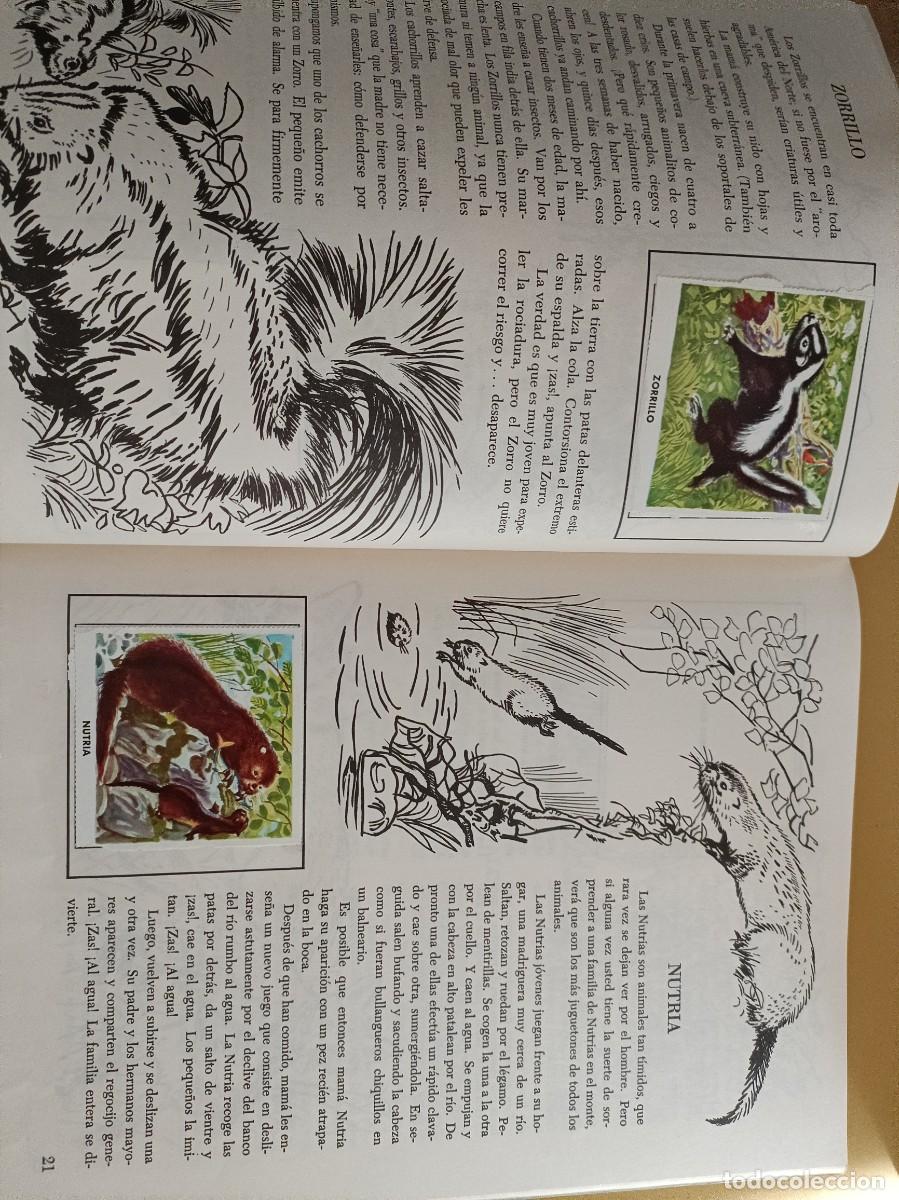 Coleccionismo &aacute;lbum: cachorros de animales - Foto 6