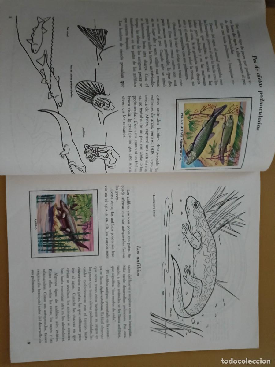 Coleccionismo &aacute;lbum: animales del pasado, editorial novaro - Foto 3