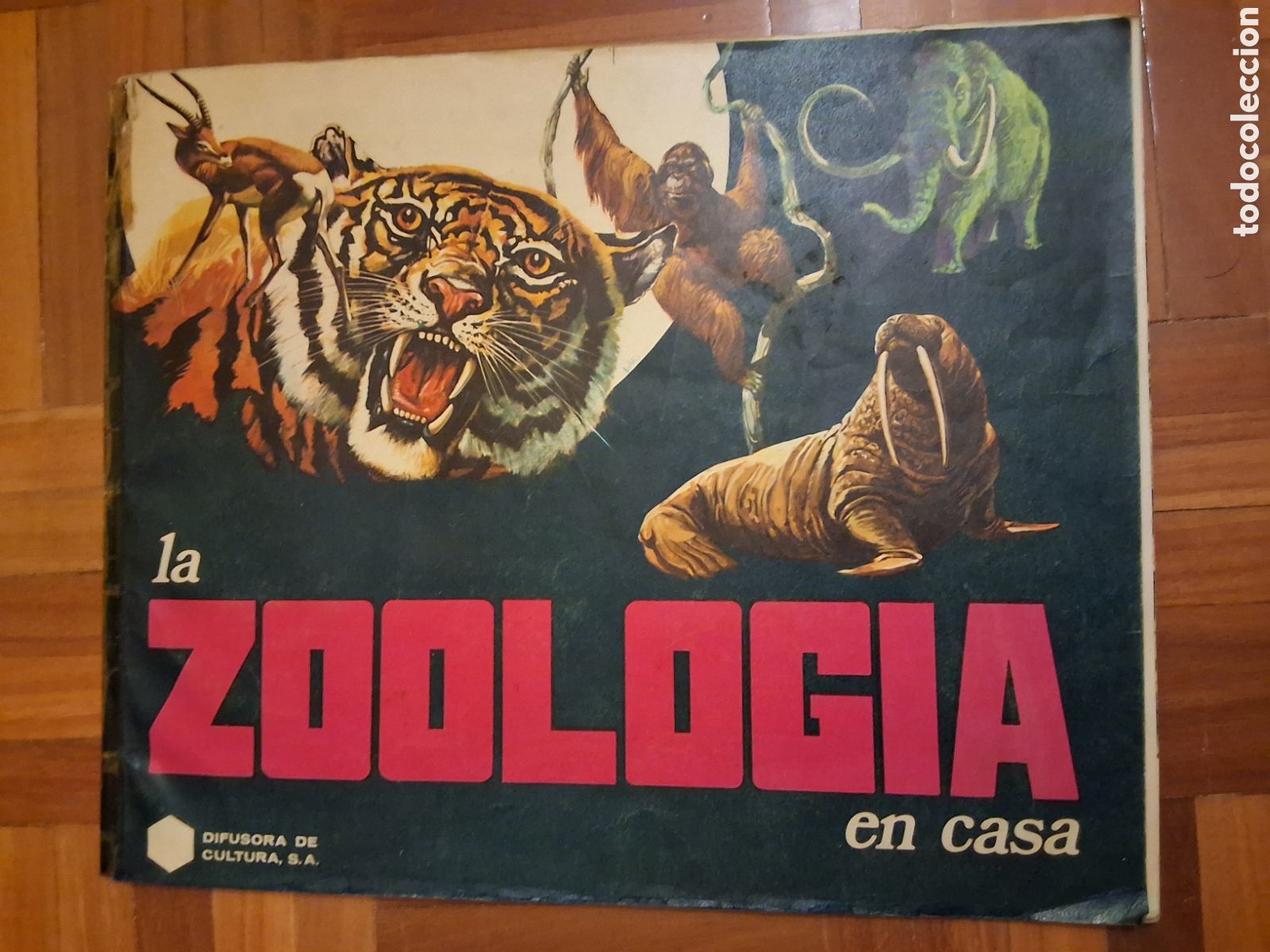 Colecionismo Caderneta: Zoologia en casa &aacute;lbum cromos COMPLETO a&ntilde;o 1974 edita difusora de la cultura