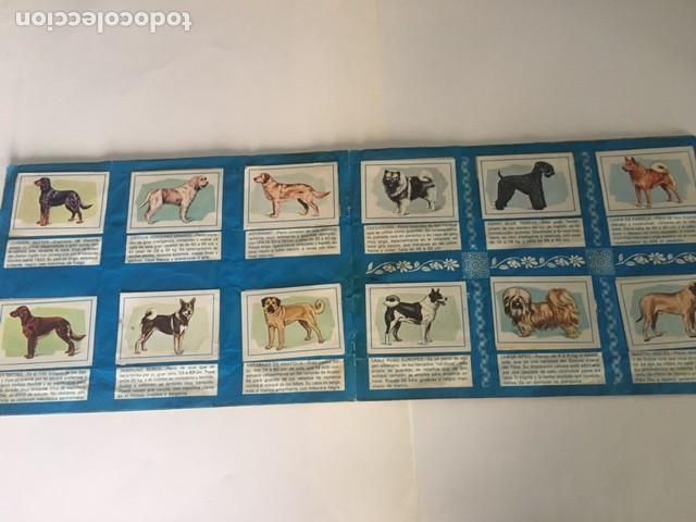 Coleccionismo &aacute;lbum: PERROS FHER COMPLETO - Foto 3