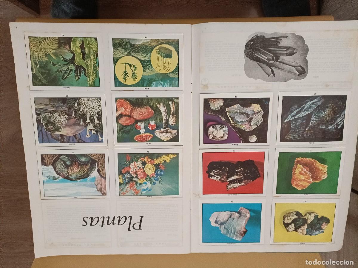Coleccionismo &aacute;lbum: ciencias naturales 1 - Foto 3