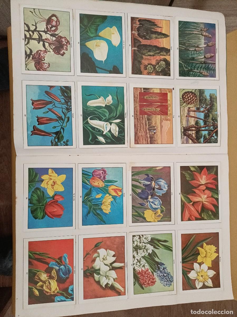 Coleccionismo &aacute;lbum: ciencias naturales 1 - Foto 4