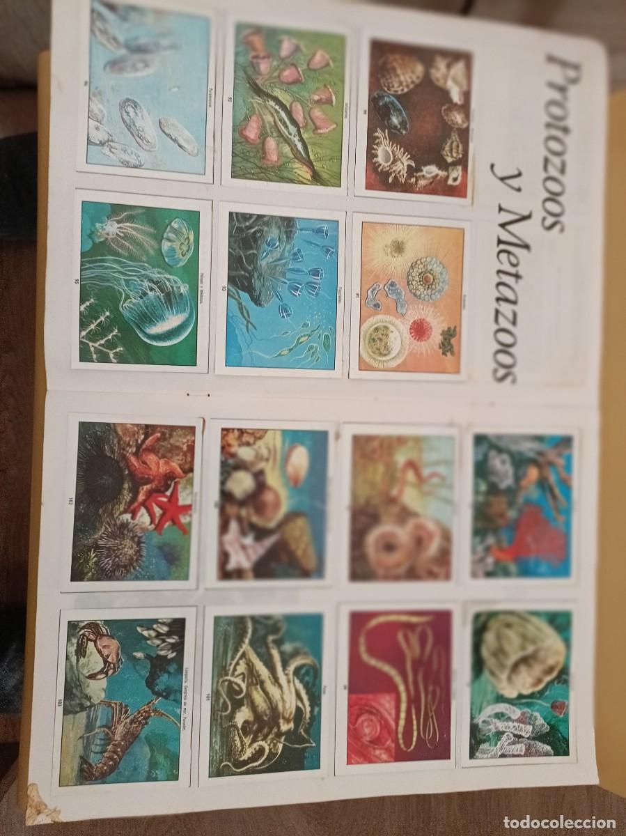 Coleccionismo &aacute;lbum: ciencias naturales 1 - Foto 6