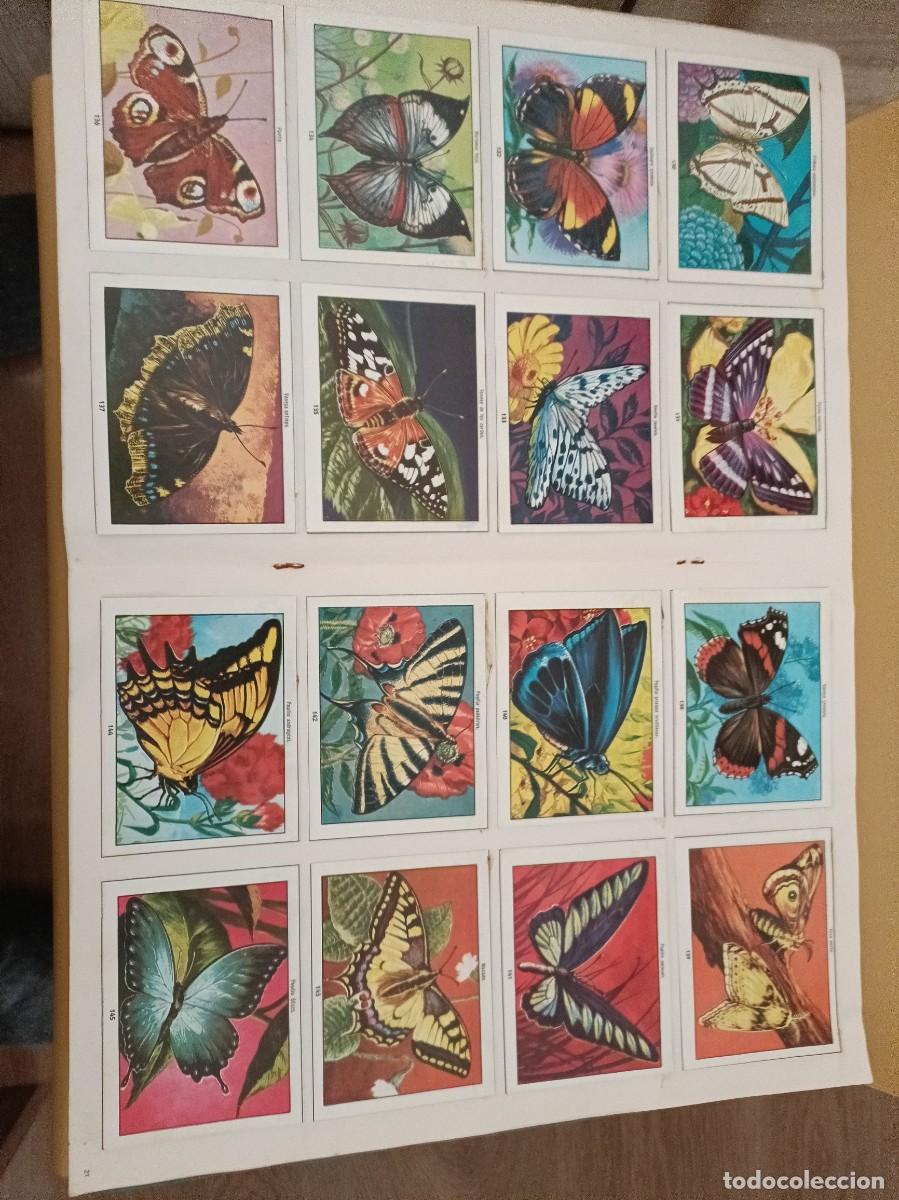 Coleccionismo &aacute;lbum: ciencias naturales 1 - Foto 7